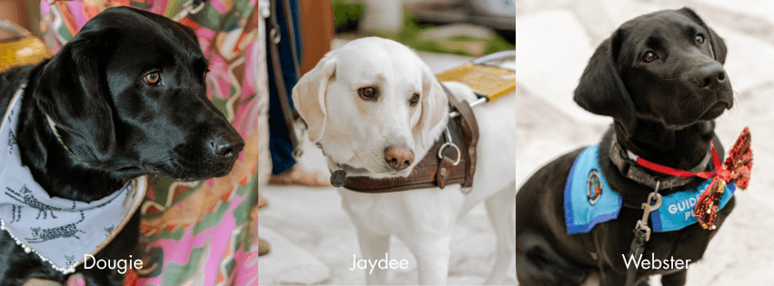 Banner dogs.png