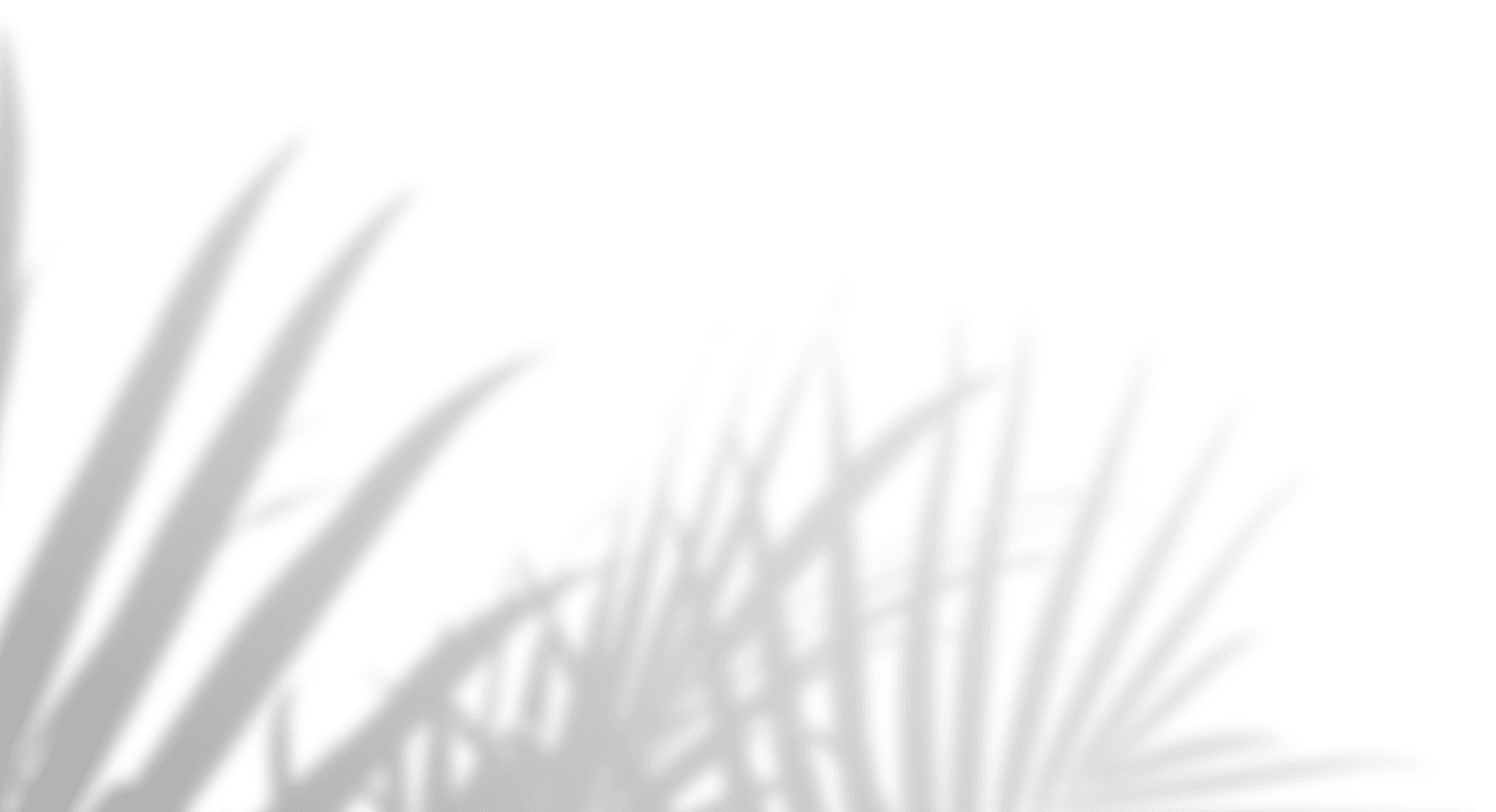 blog-image